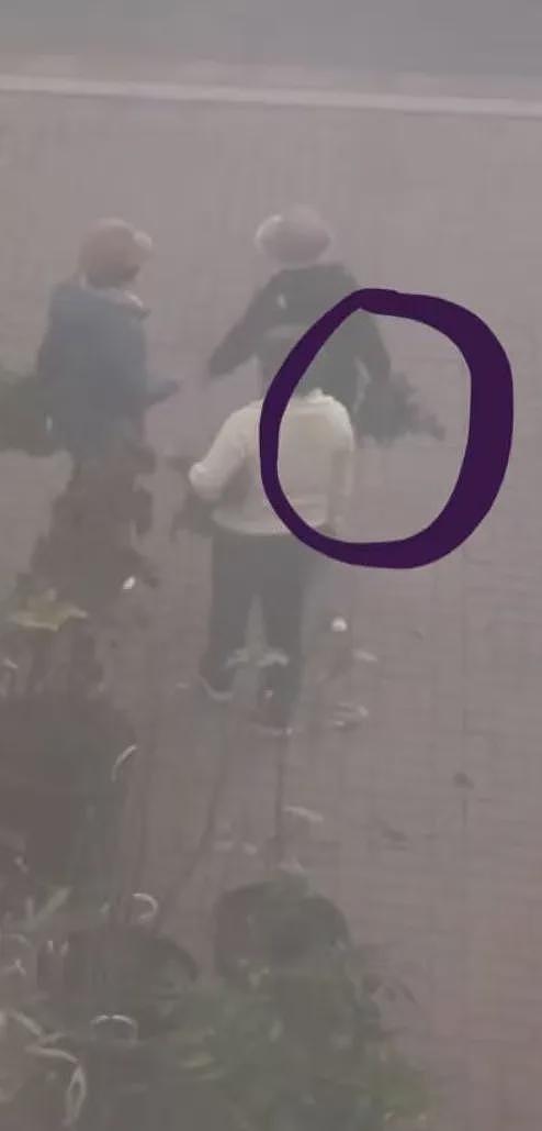 开玛莎拉蒂偷南瓜?这些“偷菜大军”简直刷新下限!邻居崩溃:大爷大妈能不能要点脸(组图) - 8