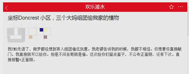 开玛莎拉蒂偷南瓜?这些“偷菜大军”简直刷新下限!邻居崩溃:大爷大妈能不能要点脸(组图) - 7