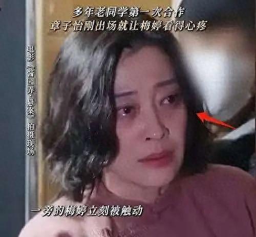 梅婷：19岁从中戏退学，50岁凭两部悬疑片，给内娱演员上了一课（组图） - 1