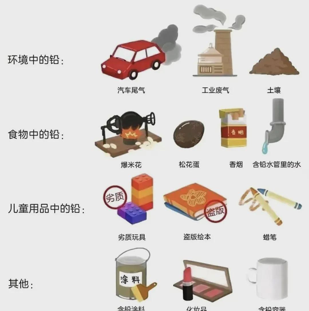 甘肃幼儿园血铅事件：什么是血铅？什么原因产生？（组图） - 7