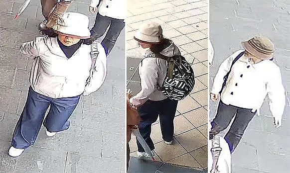 没跑掉!新州警方在国际机场将华人女子逮捕!妈妈们拍手称快(组图) - 4