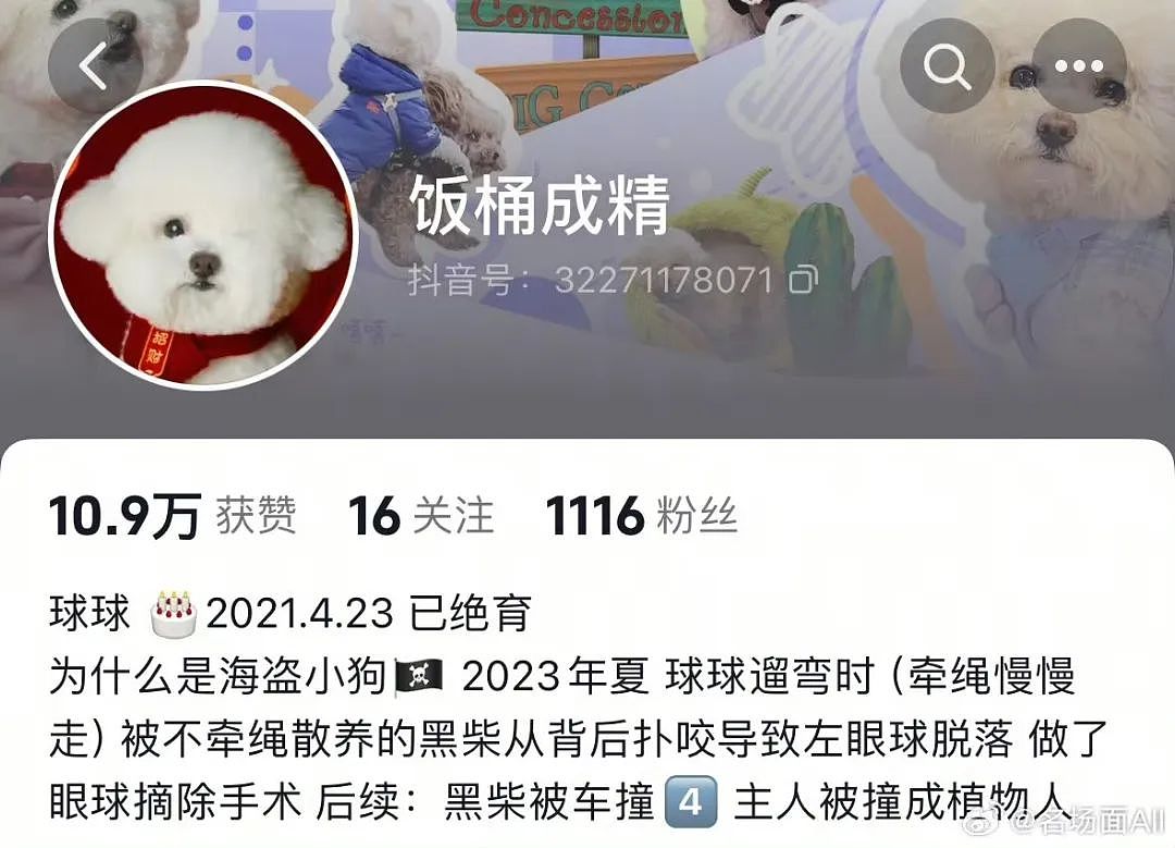 【爆笑】男领导给我三个荔枝是暗示我当3吗？网友：是让你三天内离职（组图） - 43
