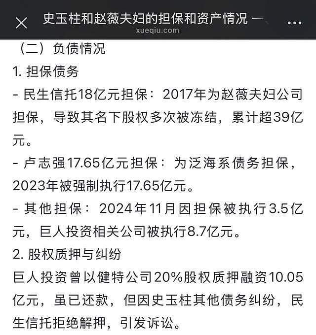 脑白金之父被兄弟做局！63岁史玉柱继续还债（组图） - 7