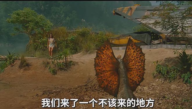 2天票房1.1亿，差评满天飞的“大烂片”被捧上日冠，中国观众咋了（组图） - 9