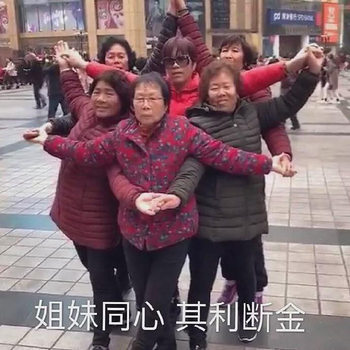 开玛莎拉蒂偷南瓜?这些“偷菜大军”简直刷新下限!邻居崩溃:大爷大妈能不能要点脸(组图) - 10