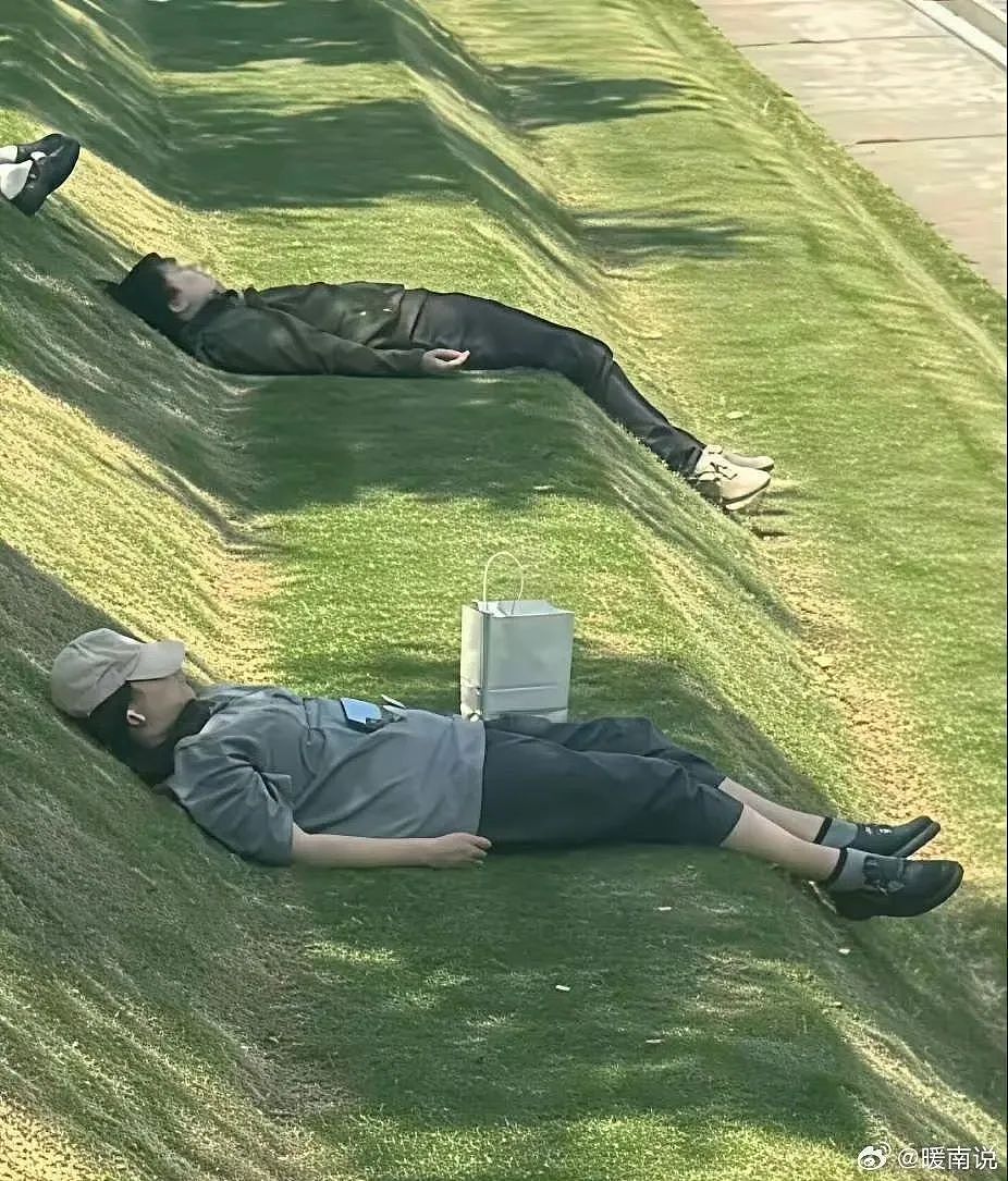 【爆笑】男领导给我三个荔枝是暗示我当3吗？网友：是让你三天内离职（组图） - 23