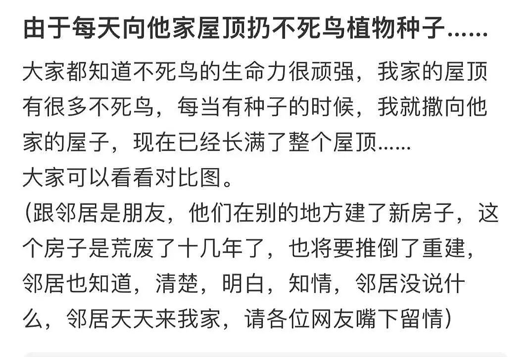 【爆笑】男领导给我三个荔枝是暗示我当3吗？网友：是让你三天内离职（组图） - 27