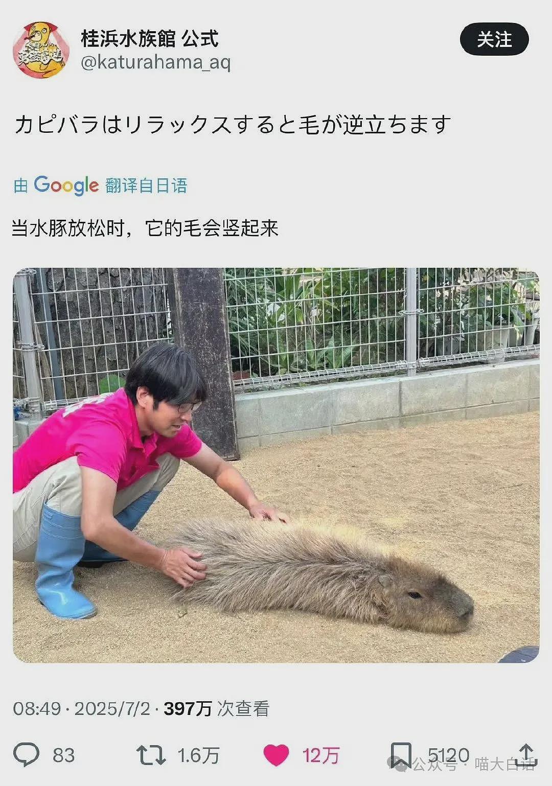 “法官收到的证据能有多离谱?”哈哈哈哈哈哈真的莫名其妙的笑了一下(组图) - 35