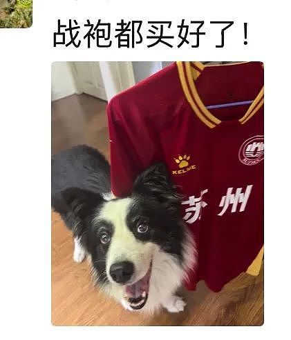 苏超真正的“顶流之争”来了,全网已经为南京苏州谁是一哥吵疯(组图) - 26