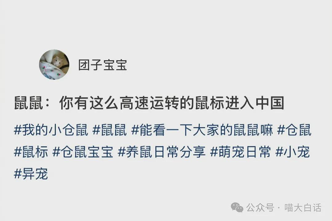 “法官收到的证据能有多离谱?”哈哈哈哈哈哈真的莫名其妙的笑了一下(组图) - 56