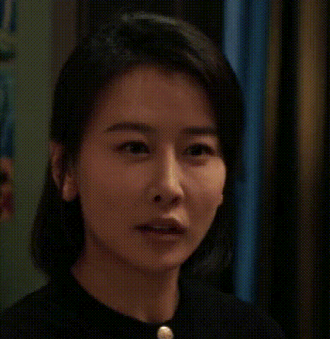 《以法之名》演技倒数的女星,大闹海关、履历造假,还能混圈?(组图) - 11