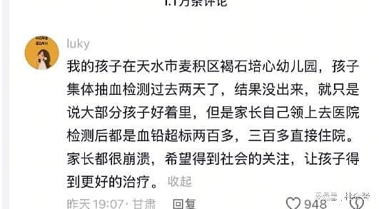 甘肃幼儿园发生集体铅中毒，19名儿童住院！疑用工业级原料制作食物，评论区炸锅（视频/组图） - 4