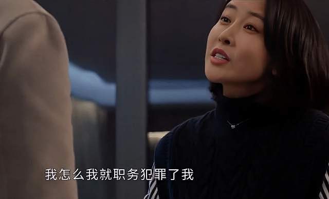 《以法之名》演技倒数的女星,大闹海关、履历造假,还能混圈?(组图) - 6