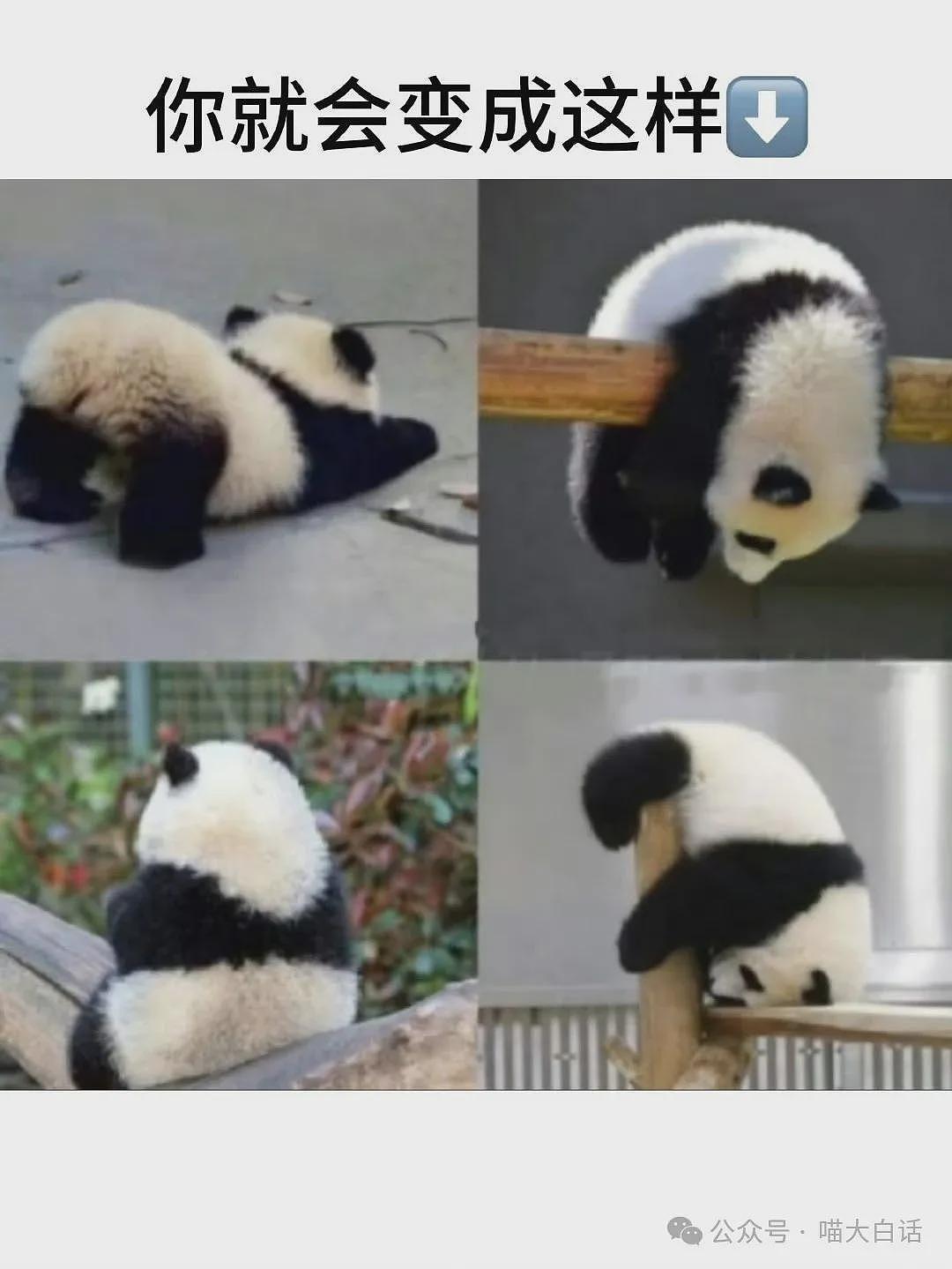 “法官收到的证据能有多离谱?”哈哈哈哈哈哈真的莫名其妙的笑了一下(组图) - 77