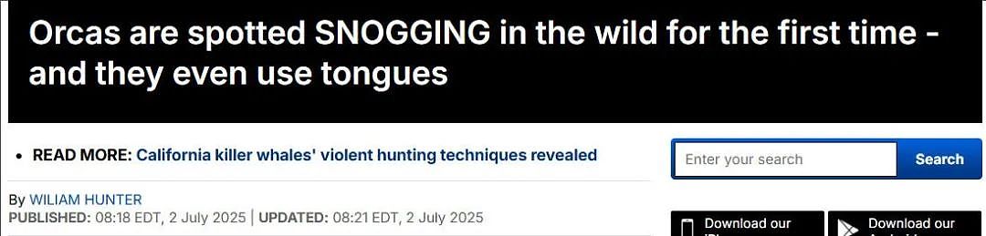 虎鲸会给人送礼？扔回还会再送，想看人类反应？像海中猫咪，新萌点get！（组图） - 9
