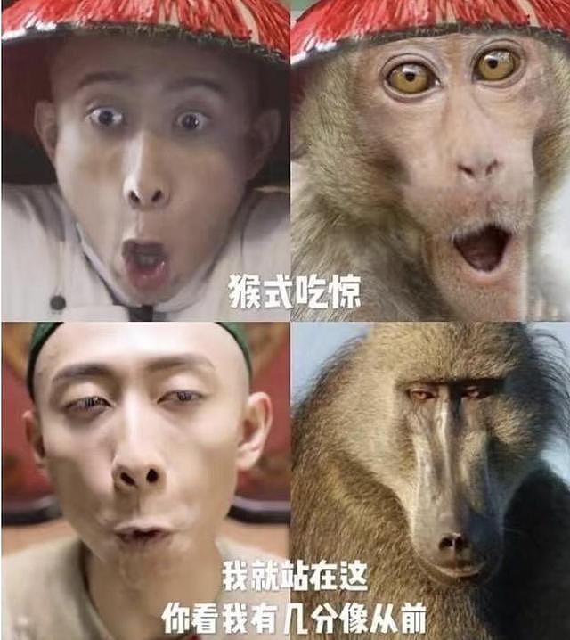 短暂地红了一下！高开低走的6位明星，曾经是顶流现“查无此人”（组图） - 9