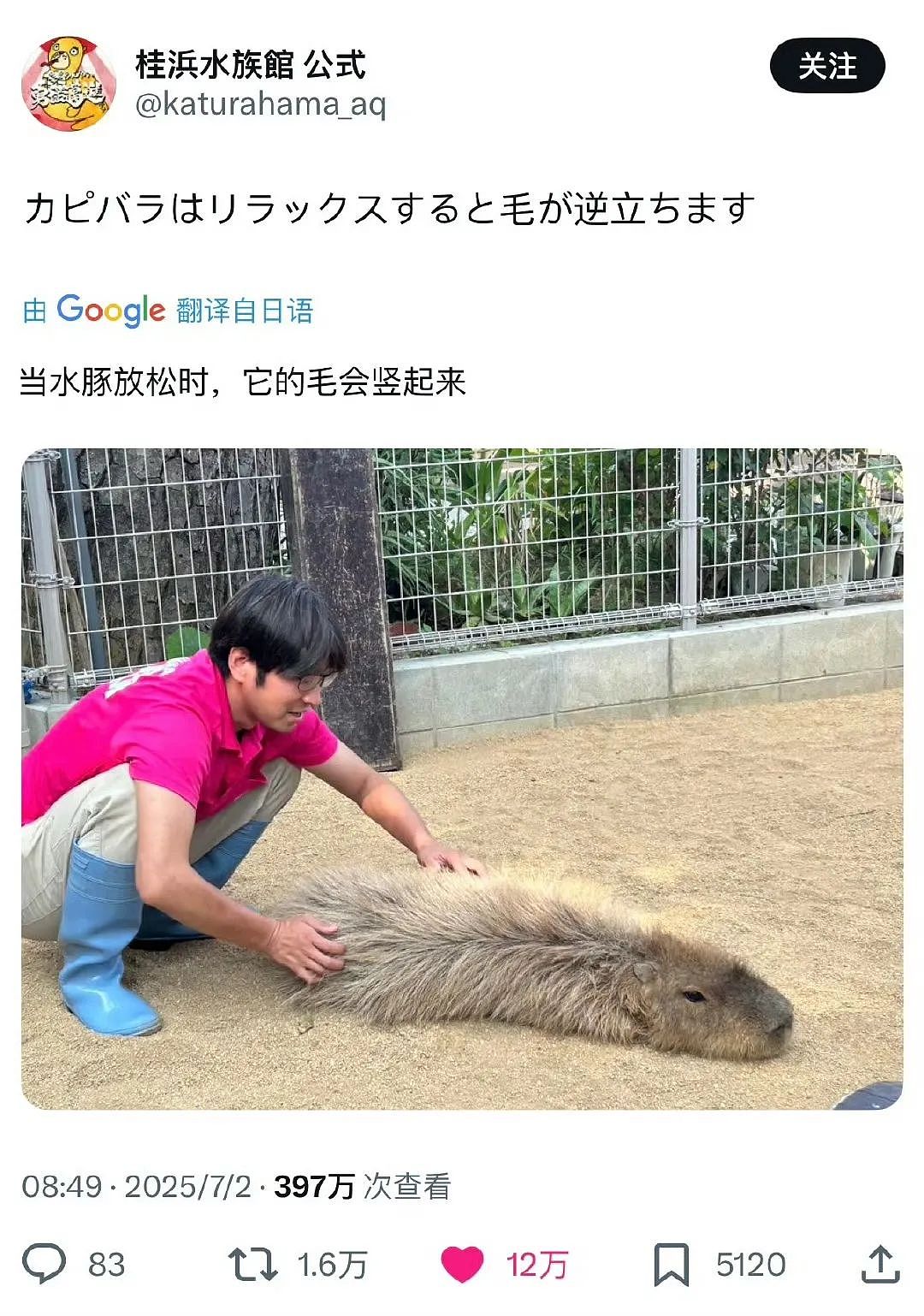 【爆笑】“法官收到的证据能有多离谱?”哈哈哈哈哈哈真的莫名其妙的笑了一下(组图) - 36