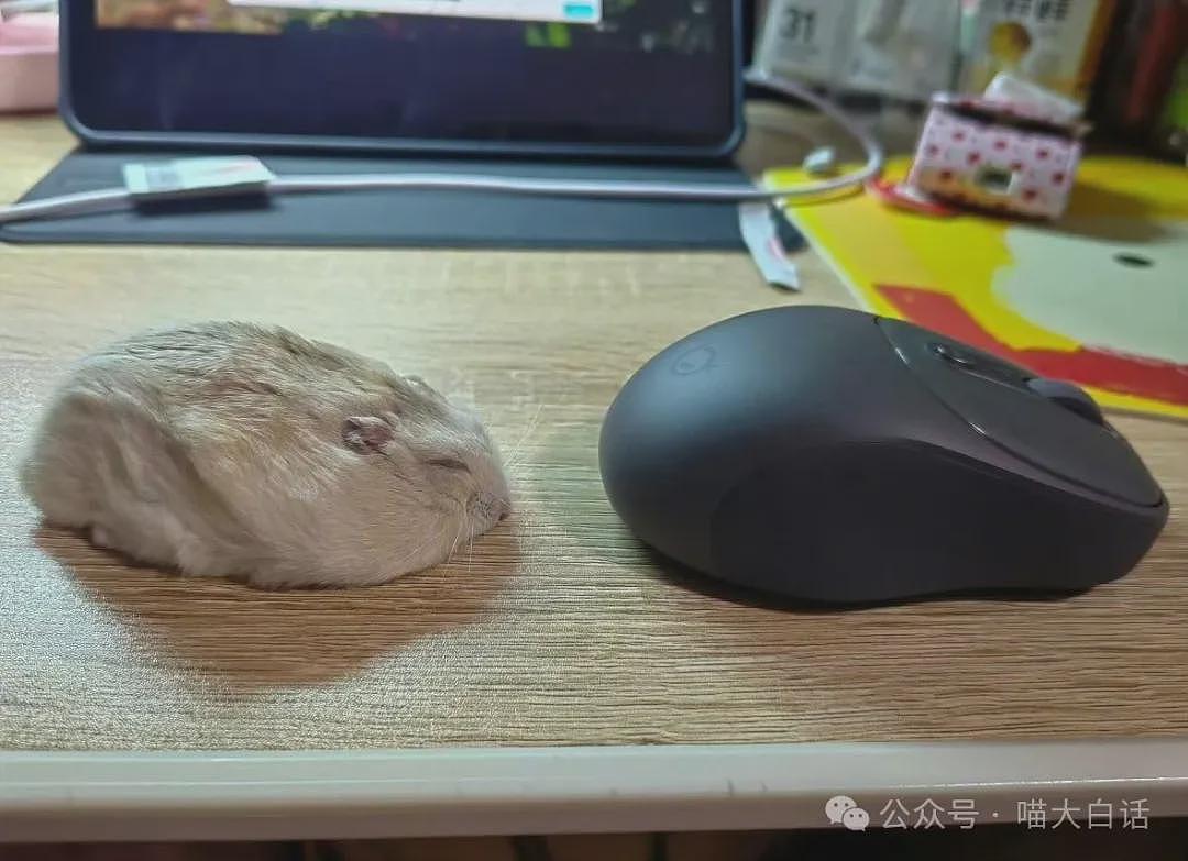 “法官收到的证据能有多离谱?”哈哈哈哈哈哈真的莫名其妙的笑了一下(组图) - 57