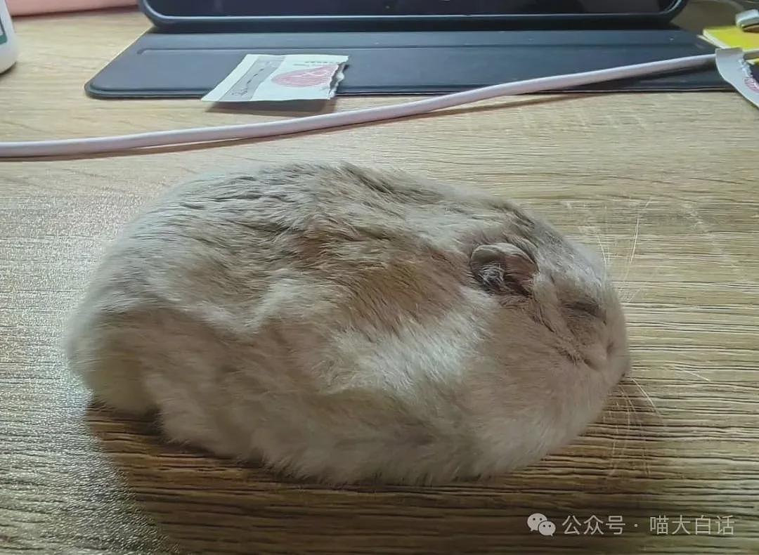 “法官收到的证据能有多离谱?”哈哈哈哈哈哈真的莫名其妙的笑了一下(组图) - 58