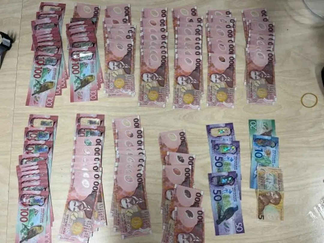 63岁澳华女在机场登机前被捕!华人同胞却集体鼓掌......(组图) - 10