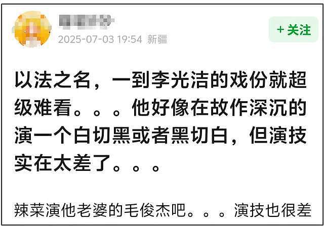 《以法之名》演技倒数的女星,大闹海关、履历造假,还能混圈?(组图) - 7