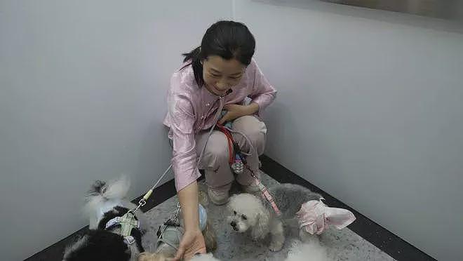 清北高才生夫妻1家3口被撞仅1幸存,推动醉驾入刑(组图) - 3