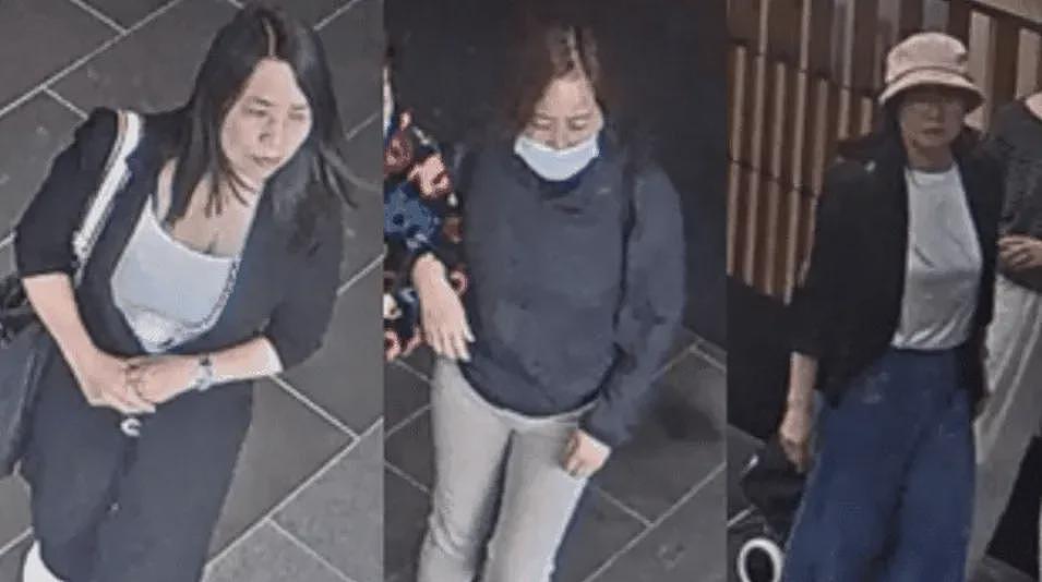 刚刚！阮姐从中国一落地澳洲，就被捕！团伙50人，组织极其严密，很多华人都被她骗过（组图） - 10