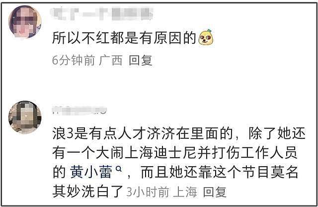 《以法之名》演技倒数的女星,大闹海关、履历造假,还能混圈?(组图) - 23
