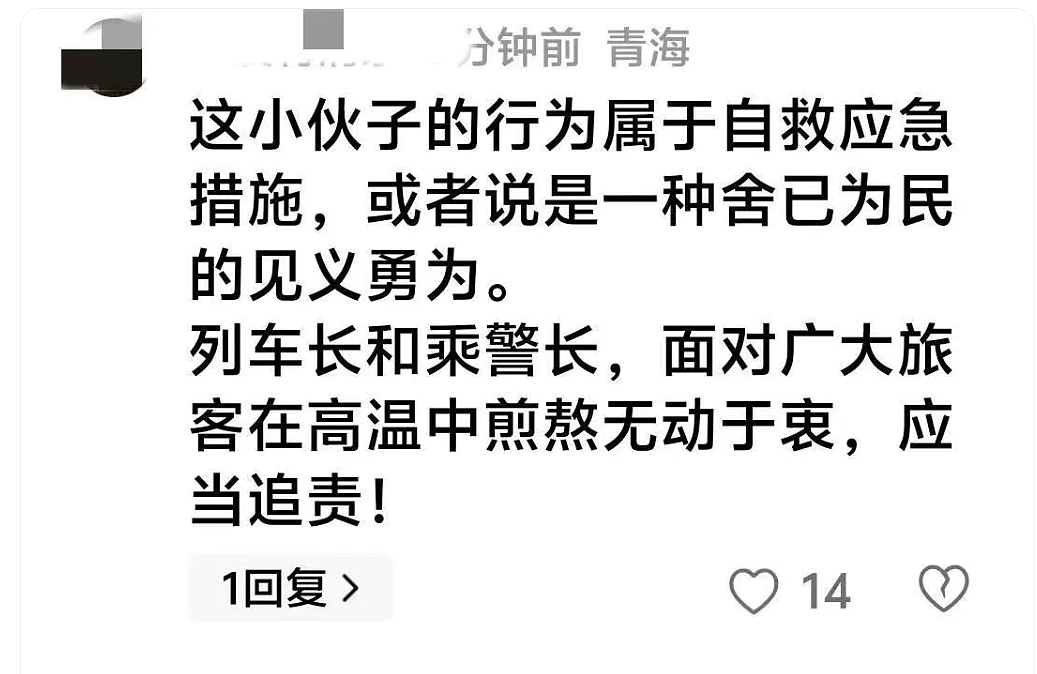 脱线列车上的砸窗人:一代人有一代人的觉醒(组图) - 7