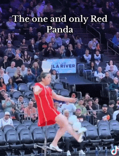 山西杂技大姨硬控NBA球场30年！身价不菲地位比肩詹姆斯？网友：她值得进名人堂！（组图） - 4
