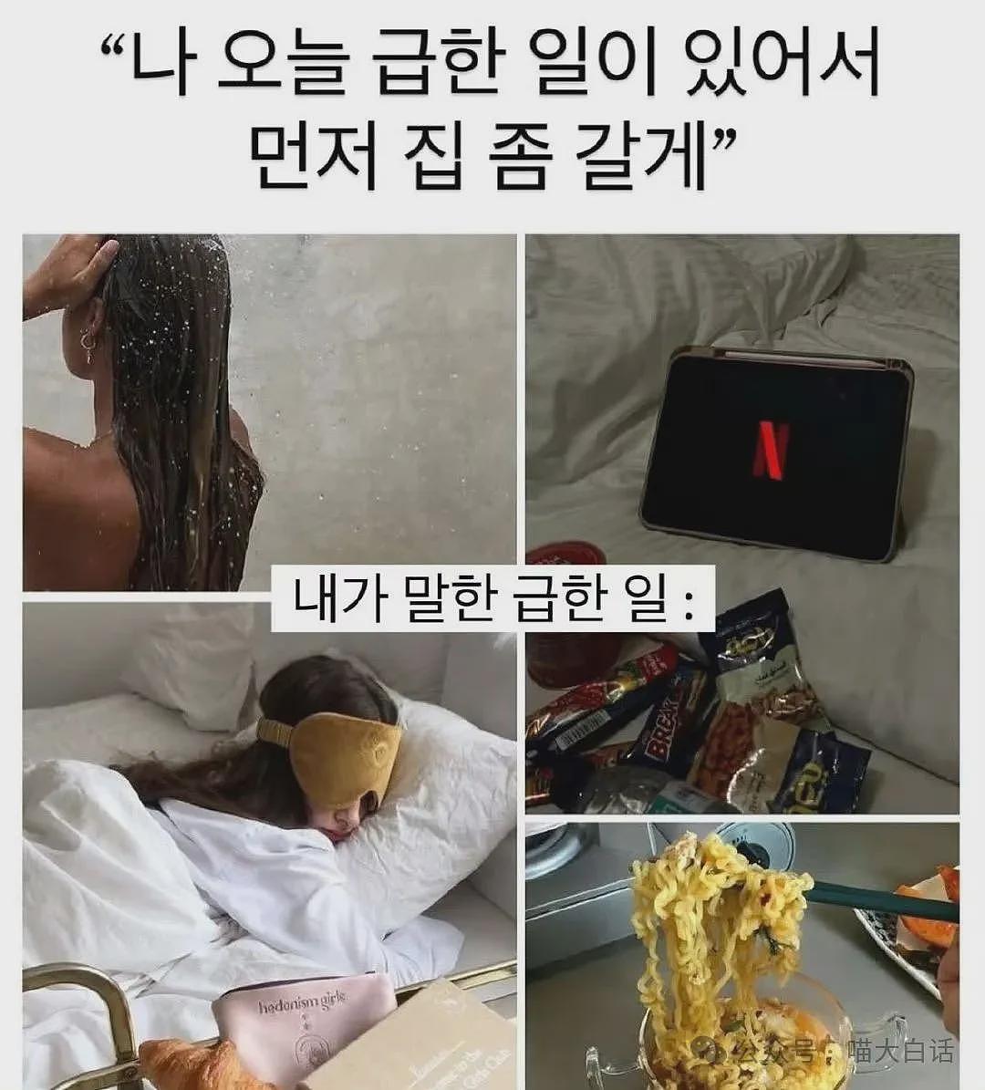 “法官收到的证据能有多离谱?”哈哈哈哈哈哈真的莫名其妙的笑了一下(组图) - 50