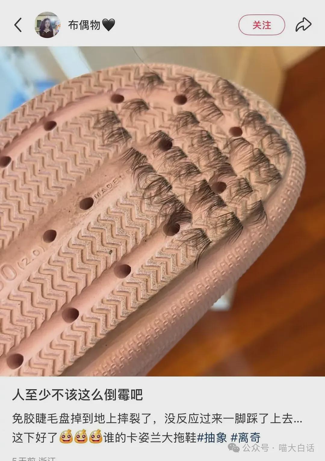 “法官收到的证据能有多离谱?”哈哈哈哈哈哈真的莫名其妙的笑了一下(组图) - 88