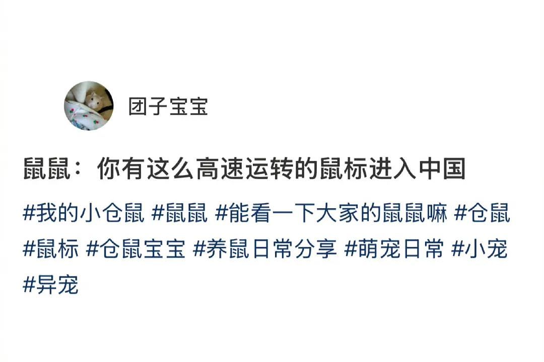 【爆笑】“法官收到的证据能有多离谱?”哈哈哈哈哈哈真的莫名其妙的笑了一下(组图) - 57