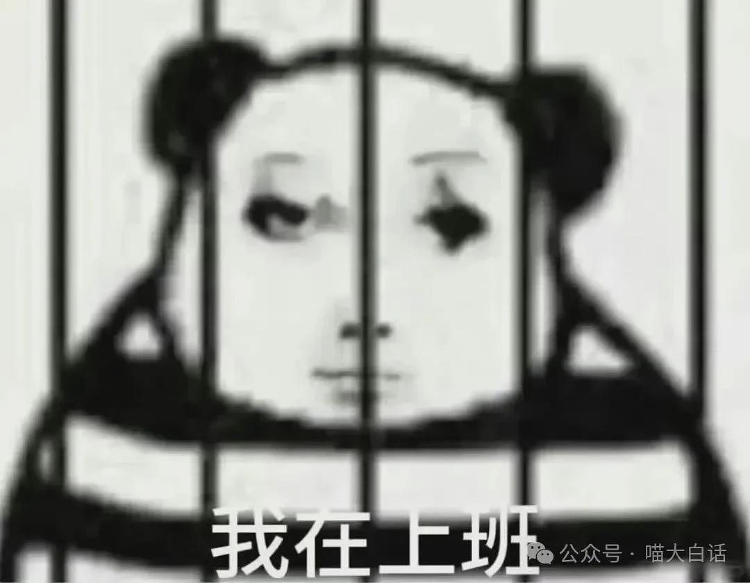 “法官收到的证据能有多离谱?”哈哈哈哈哈哈真的莫名其妙的笑了一下(组图) - 1