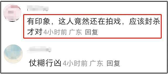 《以法之名》演技倒数的女星,大闹海关、履历造假,还能混圈?(组图) - 12
