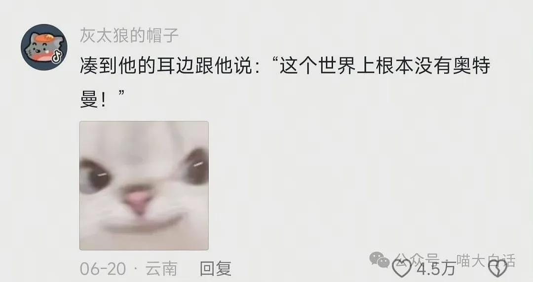 “法官收到的证据能有多离谱?”哈哈哈哈哈哈真的莫名其妙的笑了一下(组图) - 67
