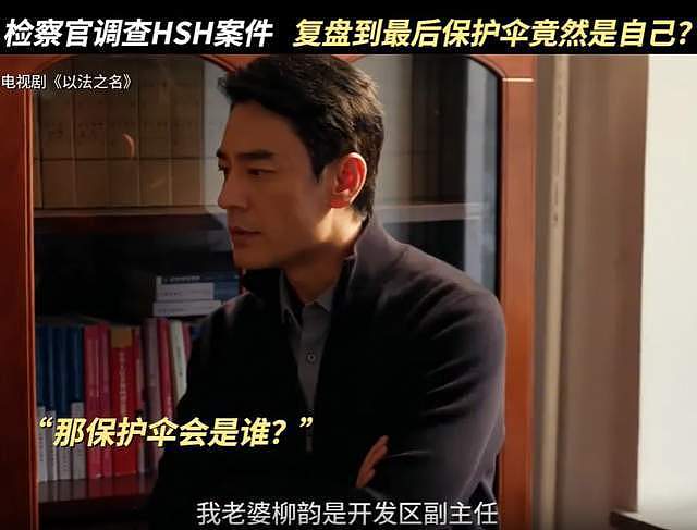 《以法之名》演技倒数的女星,大闹海关、履历造假,还能混圈?(组图) - 4