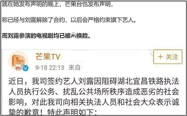 《以法之名》演技倒数的女星,大闹海关、履历造假,还能混圈?(组图) - 18