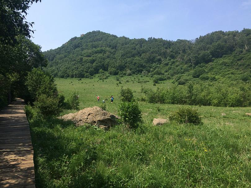 数千人涌入割韭菜，北京的这座山被“薅秃了”（组图） - 7