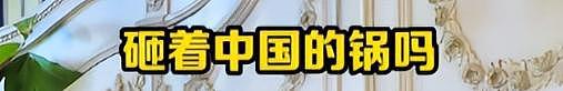 知名演员炮轰樊振东：吃中国饭砸中国锅，泄露技术机密是卖国！（视频/组图） - 10