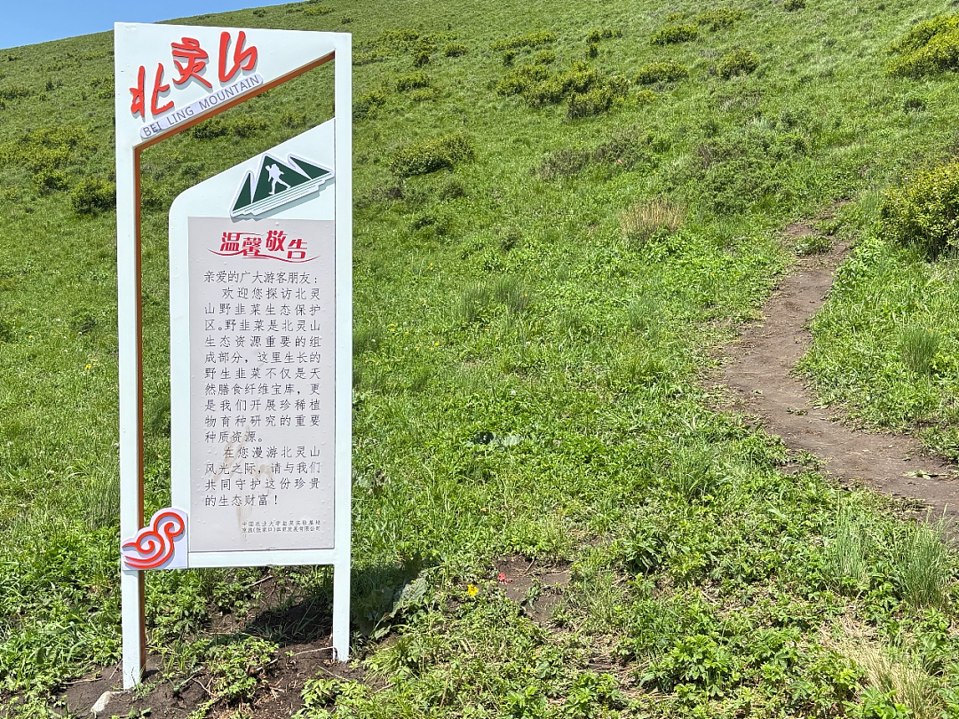 数千人涌入割韭菜，北京的这座山被“薅秃了”（组图） - 6