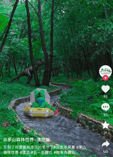 网红景区都在卷的“窝囊旅游三件套”，发朋友圈丢人、但自己爽翻（组图） - 17