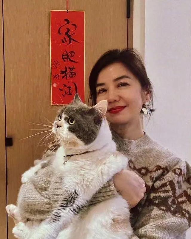 钟楚红：“东方梦露”成港圈清流，迷倒刘德华，一生却只爱一人？（组图） - 35