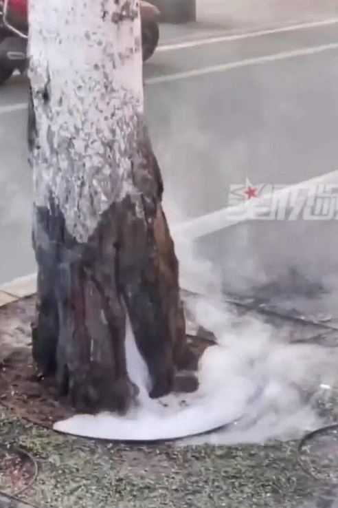 惊悚视频曝光!河南破40℃马路热到爆炸,私家车巧偶一事避过大劫(视频/组图) - 6