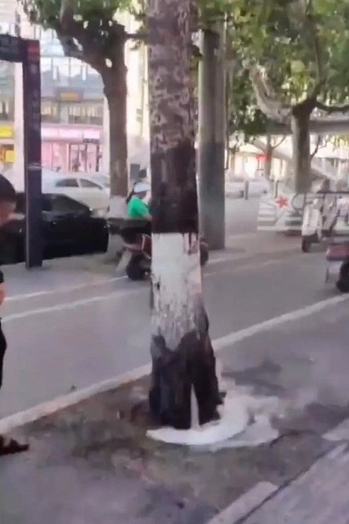 惊悚视频曝光!河南破40℃马路热到爆炸,私家车巧偶一事避过大劫(视频/组图) - 5
