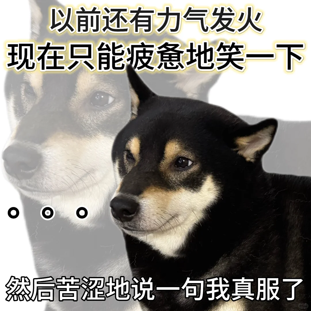 网红景区都在卷的“窝囊旅游三件套”，发朋友圈丢人、但自己爽翻（组图） - 34