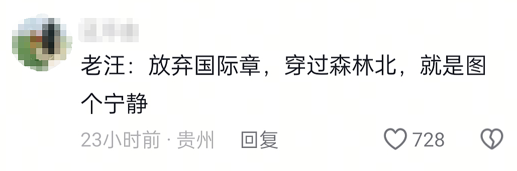 三婚四娃的他,竟然敢去招惹宁静?(组图) - 3
