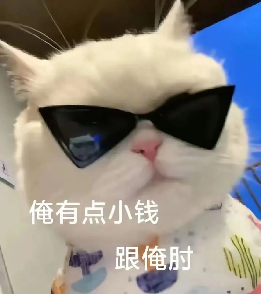 【爆笑】外卖小哥笑了5分钟才把餐给妹子，一打开人都傻了！是老板的猫拉里面了吗？（组图） - 1