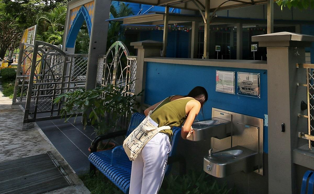 喝自来水、靠左站、朝公交车招手…华人回中国后才发现已被“驯化”成新加坡人！（组图） - 18