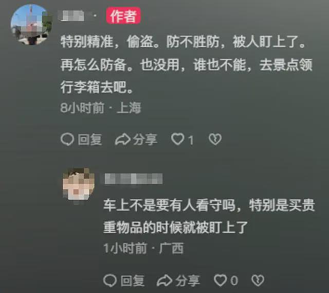意大利小偷狂抢中国旅游团,报警后当地警察称管不了(视频/组图) - 5